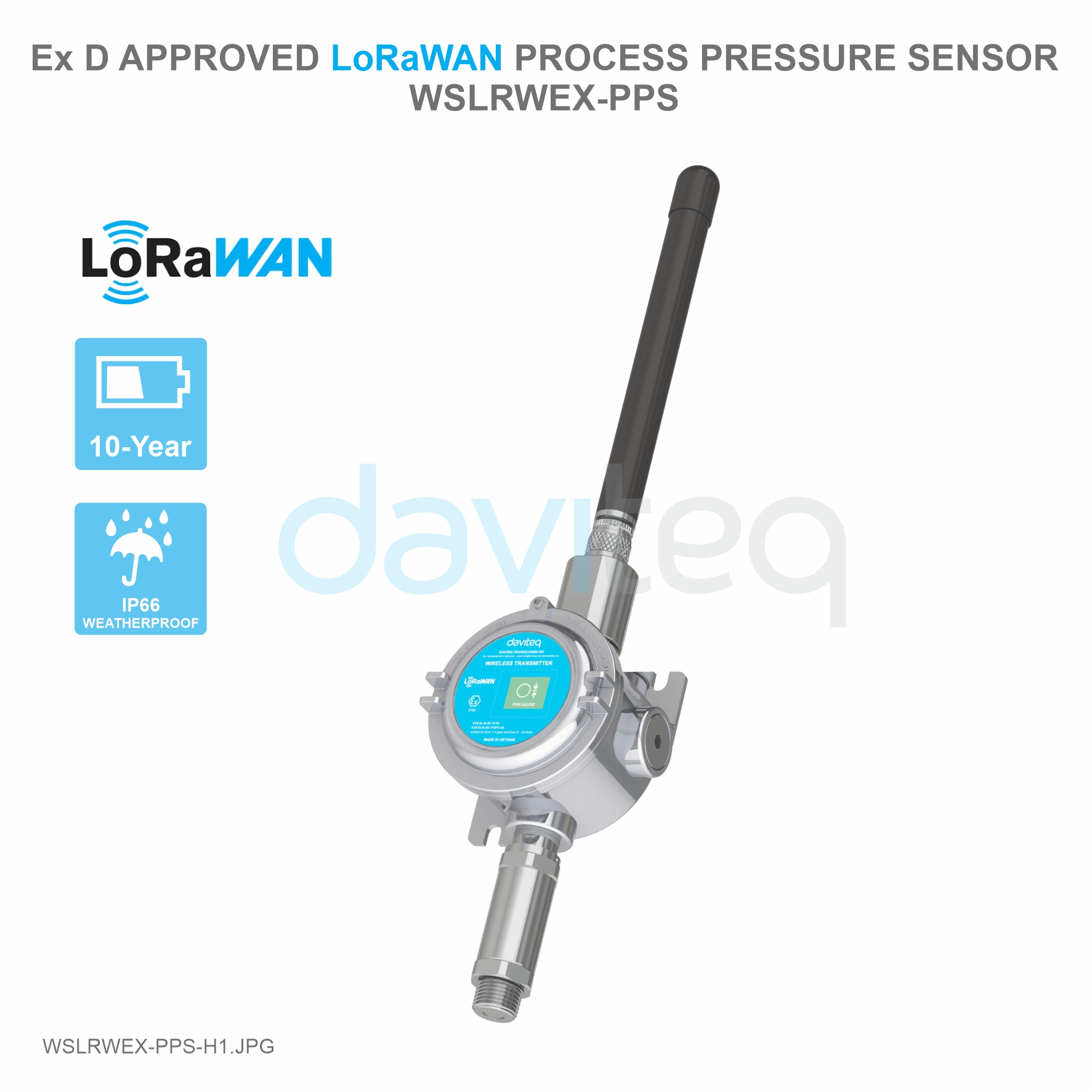 Cảm biến LoRaWAN đo áp suất Process phòng nổ Ex d